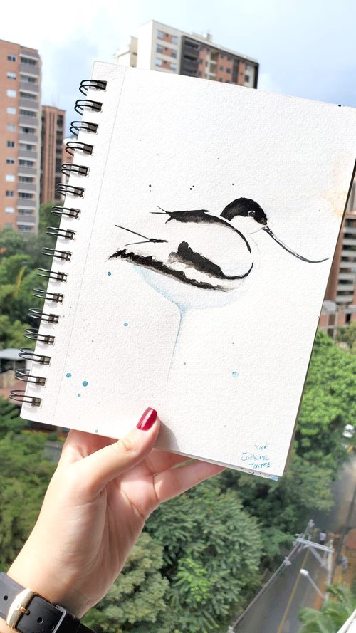 Jackeline Torres — creative outlets